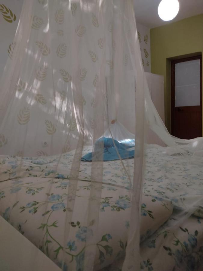 Private Apartment Elbasan Historic Center المظهر الخارجي الصورة