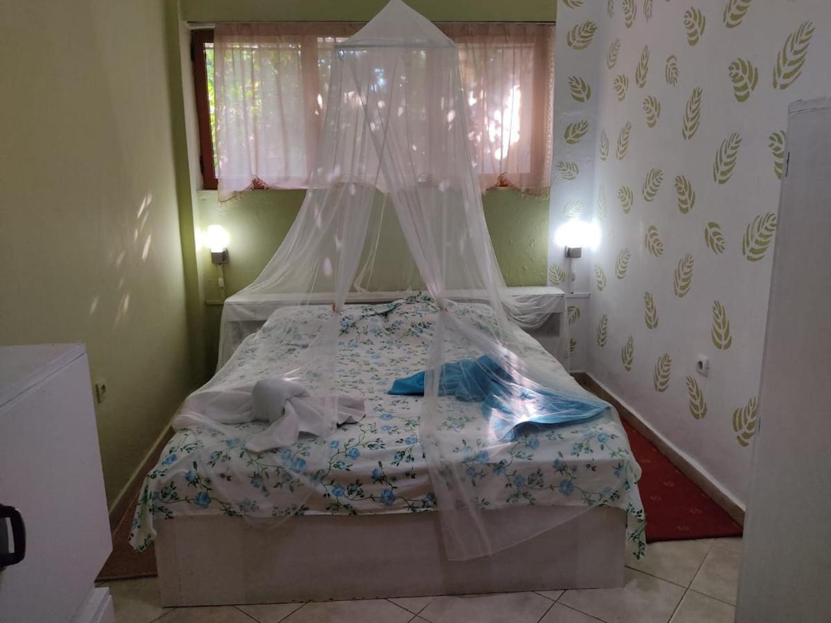 Private Apartment Elbasan Historic Center المظهر الخارجي الصورة