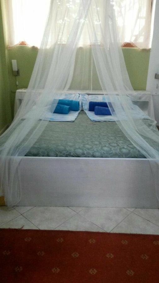 Private Apartment Elbasan Historic Center المظهر الخارجي الصورة