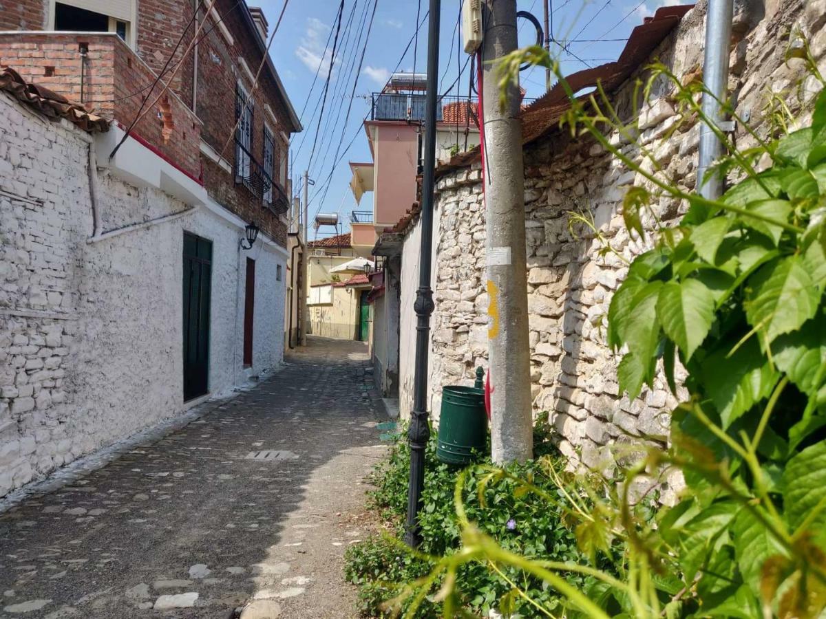 Private Apartment Elbasan Historic Center المظهر الخارجي الصورة