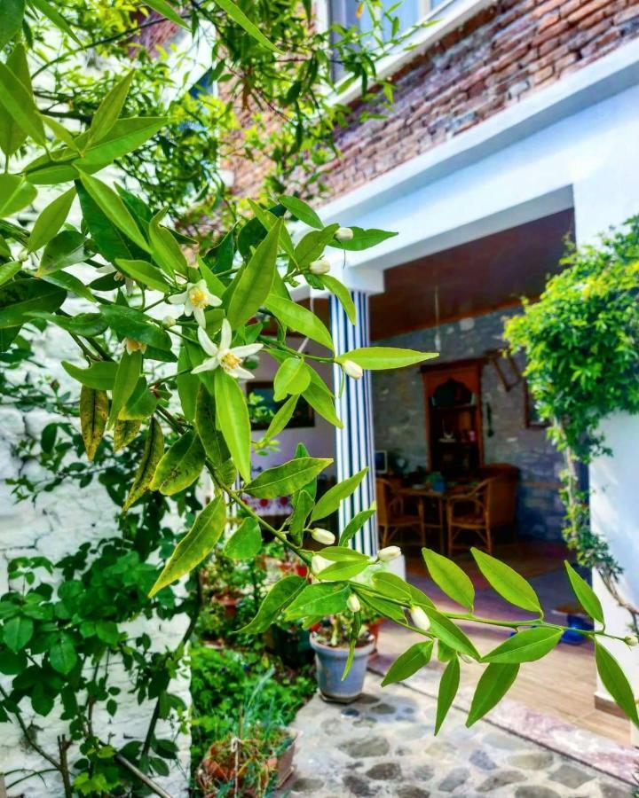 Private Apartment Elbasan Historic Center المظهر الخارجي الصورة